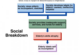 Developmental Psychology Cartoons