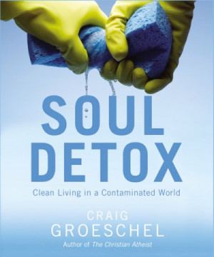 Soul Detox by Craig Groeschel - REVIEWED!