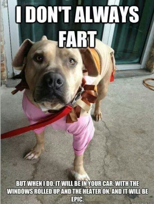 Dog farts