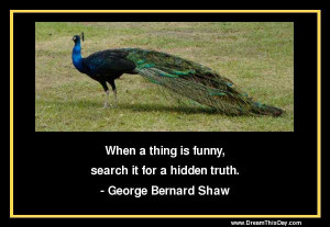 Funny Quotes about Hidden