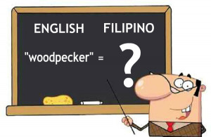 lesser-known-filipino-translation-of-english-words.jpg