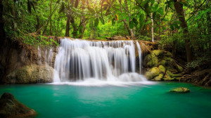 Rainforest Waterfall Wallpaper