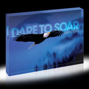 Dare To Soar Eagle Infinity Edge Acrylic Desktop