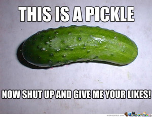 Funny Pickle Sayings