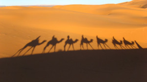 Arab Proverb: “In the Desert of Life the Wise Person Travels by ...