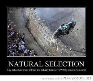 natural selection people leaning towards nascar race car crash funny ...