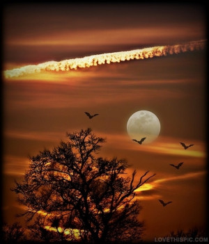 Moon Rising as Sun Sets