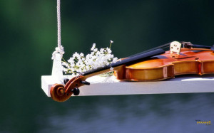 HD Wallpapers of Violin - High Resolution Backgrounds of Guitar 1440 x ...