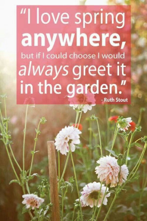 Spring in the garden...