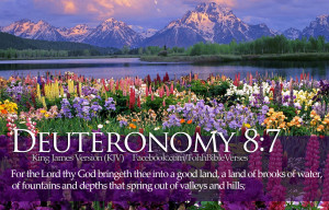 Bible Verses Deuteronomy 8:7 Beautiful Flowers River Mountains HD ...