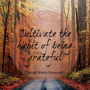 Cultivate the habit of being grateful for every good thing that comes ...