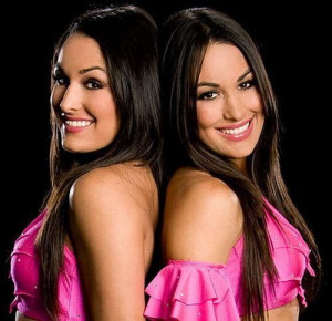 WWE Divas Bella Twins Pictures