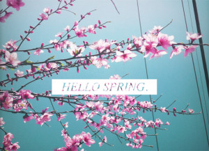 hello spring