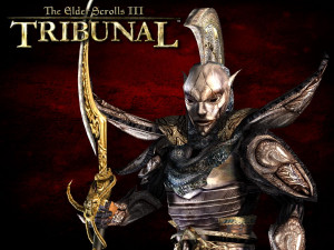 Thread: Indoril Guard - The Elder Scrolls III: Morrowind Wallpaper ...