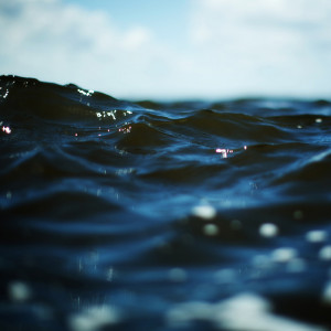 To download the wallpaper to your iPad, just hold your finger on the ...