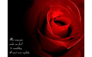 Love Rose With Quotes (click to view)