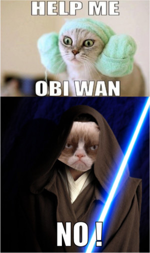 Okay, some of the grumpy cat captions are (cough cough) inappropriate ...