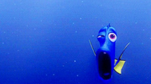 finding nemo quotes dory whale