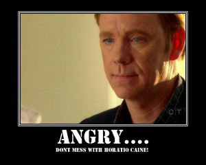 Horatio caine wallpapers 8