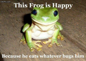 ... 19/24 from Funny Pictures 1561 (This Frog Is Happy) Posted 1/15/2014