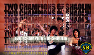 Two Champions Of Shaolin wallpaper Background
