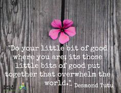 To apply for a grant to support a kid's community service project ...