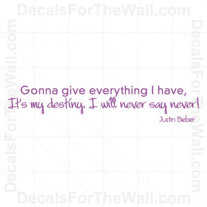 Vinyl Wall Decal Justin Bieber