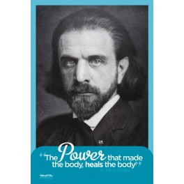 Products > Chiropractic and Wellness Posters > The Power That Made ...