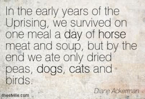 ... We Survived On One Meal A Day Of Horse Meat And Soup - Horse Quote