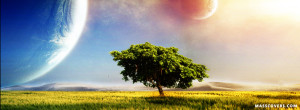 Beautiful Tree FB cover