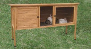 Giant Rabbit Hutch