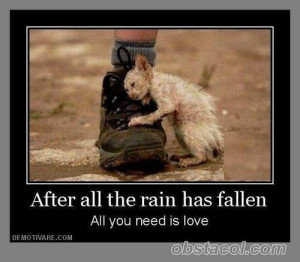 Funny Pictures, Funny Images, Funny Quotes - Just a funny website