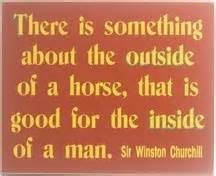 ... horses qoutes horses stuff horses quotes winston churchill hors signs