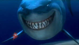 Bruce The Shark With Marlin