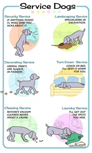 service dog :) Unloading the dishwasher and folding clothes would be a ...