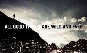all good things, free, quotes, wild