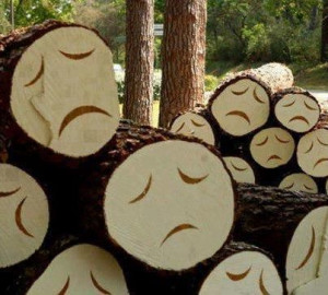 Save trees -- Save World