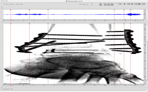 Spectrogram analysis of Wendy’s x-ray: