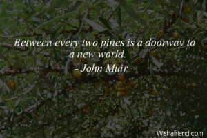 arborday-Between every two pines is a doorway to a new world.