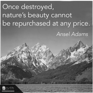 25 Exclusive Ansel Adams Quotes