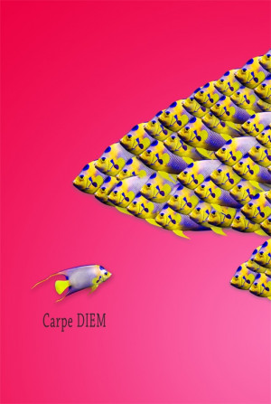 carpe diem - against the grain