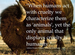 ... animals-yet-the-only-animal-that-displays-cruelty-is-humanty-animal