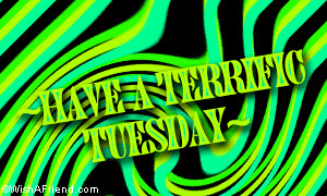 Have A Terrific Tuesday Have a terrific tuesday