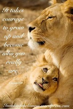 lioness quotes who you really are more lionesses quotes leo lions ...