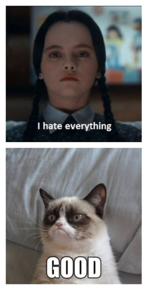 Wednesday Addams Meets Grumpy Cat