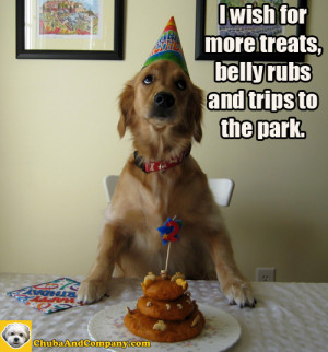 birthday dog, cute dog pictures, cute dogs, cute pictures of dogs ...