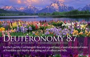 Bible Verses Deuteronomy 8:7 Flowers River Wallpaper