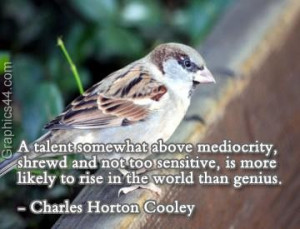 talent somewhat above mediocrity, shrewd and not too sensitive, is ...