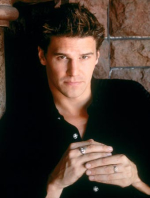 David Boreanaz as Angel