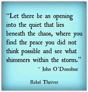 See what shimmers within the storm. ~ John O'Donahue
